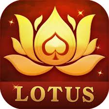 teen patti rich apk download